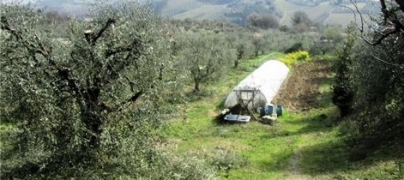 Grundstück in Lastra a Signa, Italy 20000m², Nr. 17620 7