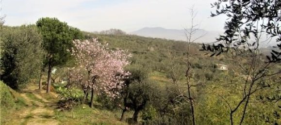 Grundstück in Lastra a Signa, Italy 20000m², Nr. 17620 4