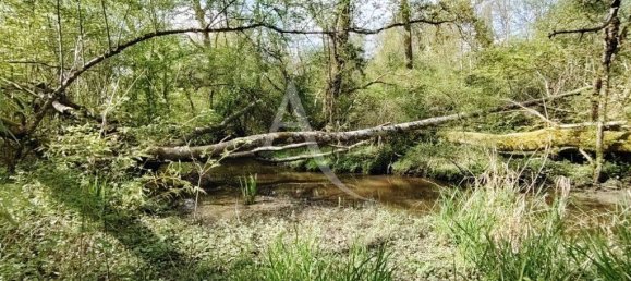 4 غرف نوم منزل في Vitry-aux-Loges, France رقم 60519 2