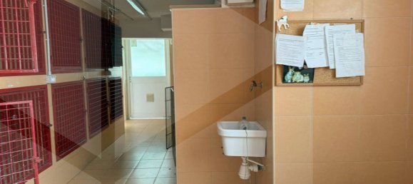 6 rooms Commercial property in Bari, Italy No. 25545 19