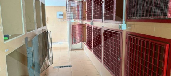 6 rooms Commercial property in Bari, Italy No. 25545 22