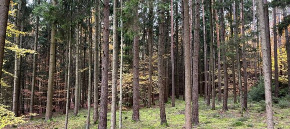 Land in Neuburg-Schrobenhausen, Germany No. 250181 3