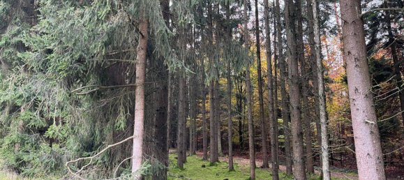 Land in Neuburg-Schrobenhausen, Germany No. 250181 2