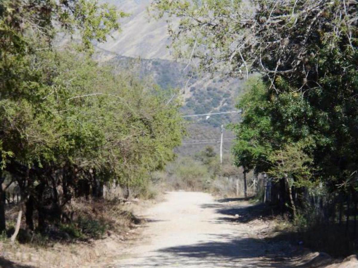  Land in San Luis, Argentina No. 35391