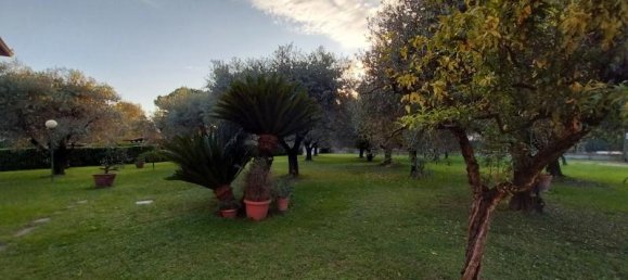 6 rooms Villa in Carrara, Italy No. 234850 5