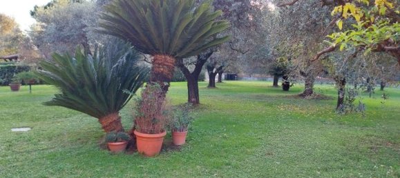 6 rooms Villa in Carrara, Italy No. 234850 6