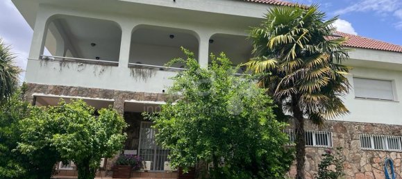 8 bedrooms House in Algete, Spain No. 72401 4