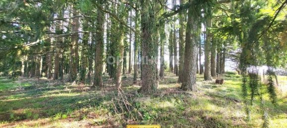 3 Schlafzimmer Haus in La Chapelle-Hugon, France, Nr. 230026 2