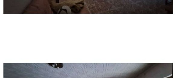 7-Zimmer Wohnung in Messina, Italy, Nr. 47875 24