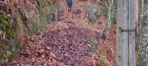 Casa de 2 dormitorios en Sao Cristovao de Nogueira, Portugal No. 24746 3