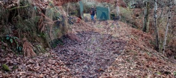 Casa de 2 dormitorios en Sao Cristovao de Nogueira, Portugal No. 24746 2
