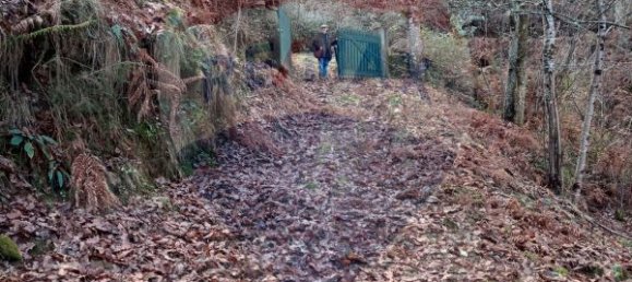 Casa de 2 dormitorios en Sao Cristovao de Nogueira, Portugal No. 24746 8