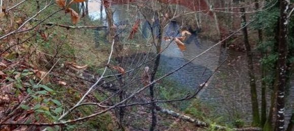 Casa de 2 dormitorios en Sao Cristovao de Nogueira, Portugal No. 24746 5