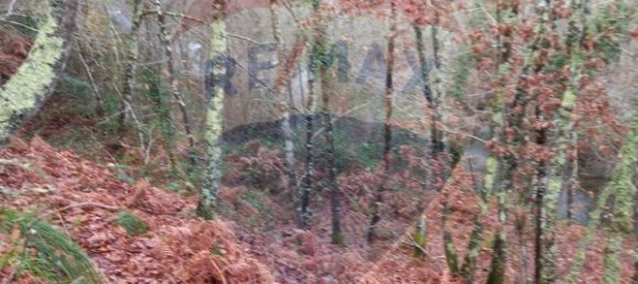 Casa de 2 dormitorios en Sao Cristovao de Nogueira, Portugal No. 24746 6