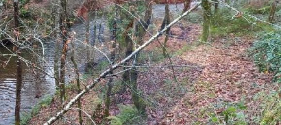 Casa de 2 dormitorios en Sao Cristovao de Nogueira, Portugal No. 24746 7