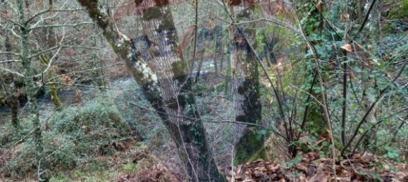 Casa de 2 dormitorios en Sao Cristovao de Nogueira, Portugal No. 24746 4