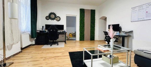 12 rooms House in Weiden an der March, Austria No. 256066 13