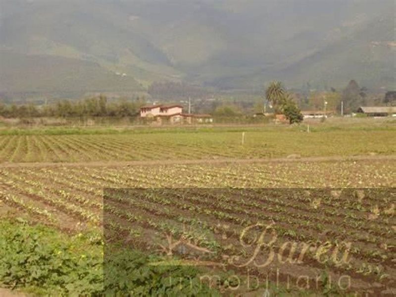 2600m² Land in Rute, Spain No. 220975