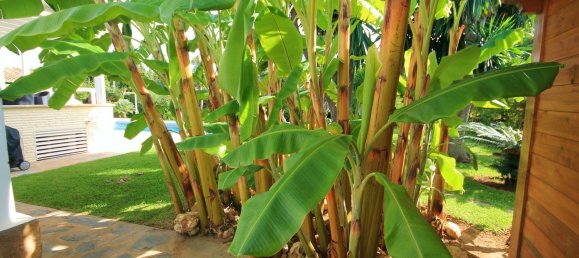 4 Schlafzimmer Villa in Marbella, Spain, Nr. 128219 30