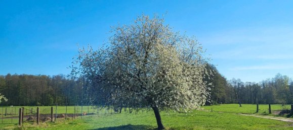2 Schlafzimmer Haus in Dahme-Spreewald, Germany, Nr. 283634 17