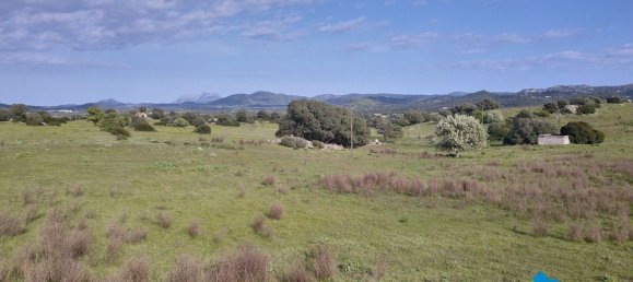100000m² Land in Olbia, Italy No. 183954 20