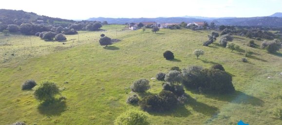 100000m² Land in Olbia, Italy No. 183954 22