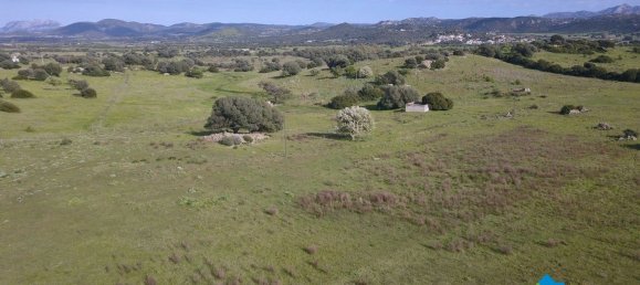 100000m² Land in Olbia, Italy No. 183954 5