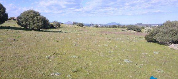 100000m² Land in Olbia, Italy No. 183954 17