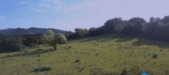 100000m² Land in Olbia, Italy No. 183954 24