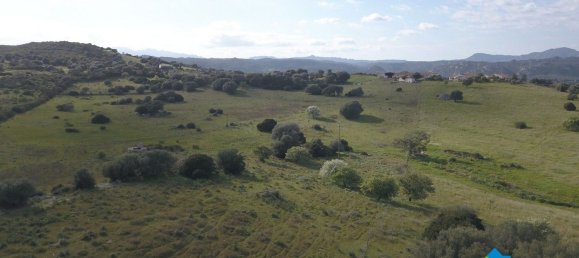 100000m² Land in Olbia, Italy No. 183954 18