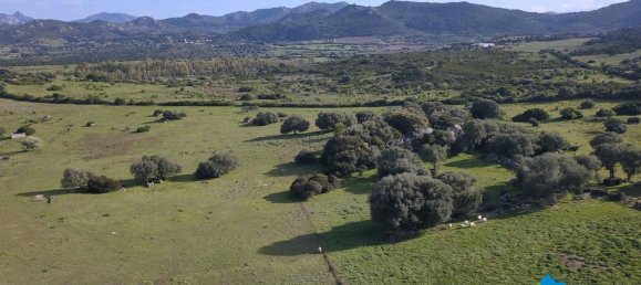 100000m² Land in Olbia, Italy No. 183954 14