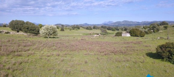 100000m² Land in Olbia, Italy No. 183954 25