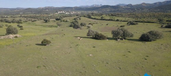 100000m² Land in Olbia, Italy No. 183954 8