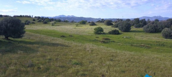 100000m² Land in Olbia, Italy No. 183954 15