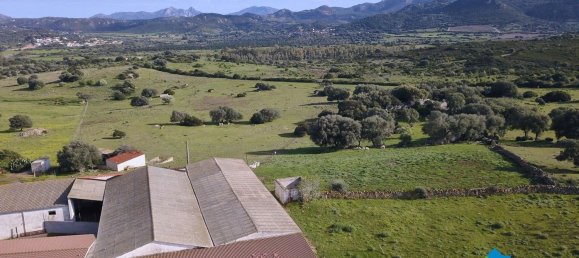 100000m² Land in Olbia, Italy No. 183954 11