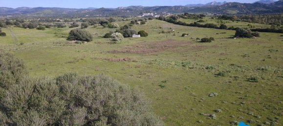 100000m² Land in Olbia, Italy No. 183954 4
