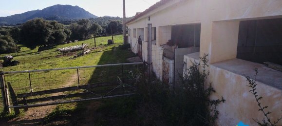 100000m² Land in Olbia, Italy No. 183954 10