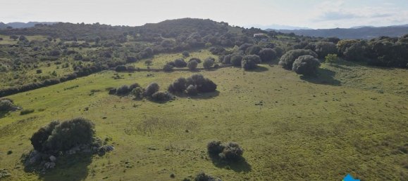 100000m² Land in Olbia, Italy No. 183954 2