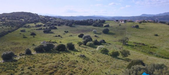 100000m² Land in Olbia, Italy No. 183954 26