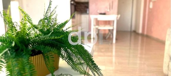 2 rooms Apartment in Cervia, Italy No. 32003 14