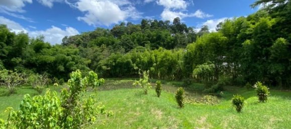 5 bedrooms Cafe / restaurant in Chiang Mai, Thailand No. 21962 25