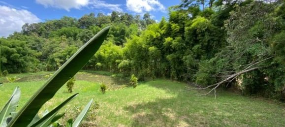 5 bedrooms Cafe / restaurant in Chiang Mai, Thailand No. 21962 27