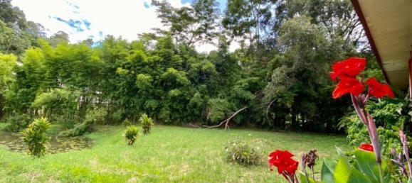 5 bedrooms Cafe / restaurant in Chiang Mai, Thailand No. 21962 28