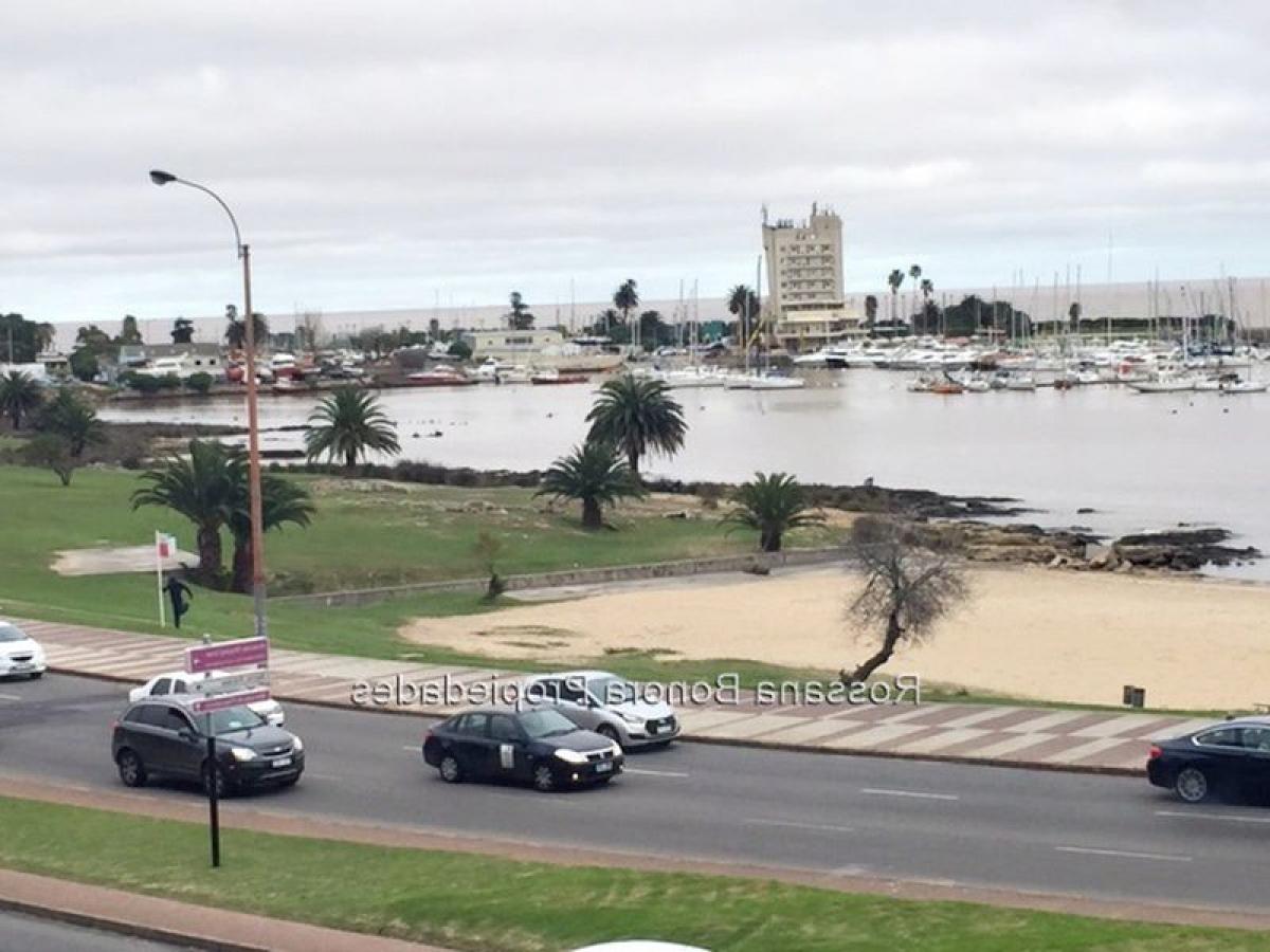 3 Schlafzimmer Wohnung in Montevideo, Uruguay, Nr. 10181