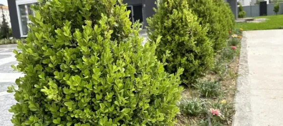 Apartamento de 2+1 en Kepez, Turkey No. 33279 28