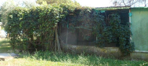 3 bedrooms House in Montelupo Fiorentino, Italy No. 182781 13