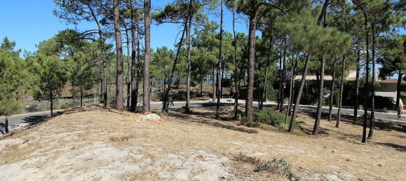 1553m² Land in Grandola, Portugal No. 131860 12