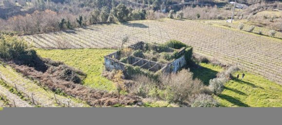 1 Schlafzimmer Haus in Soalhaes, Portugal, Nr. 13970 8