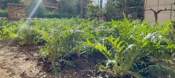 4-salle Appartement à Asciano, Italy No. 178860 22