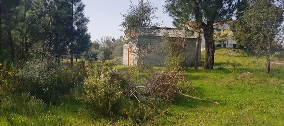  قطعة أرض في Sao Joao de Areias, Portugal 620متر مربع رقم 37312 4